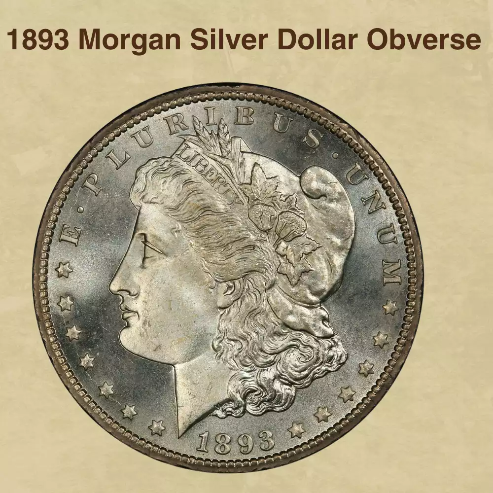 Dólar Morgan